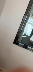 4399HD在线观看免费播放