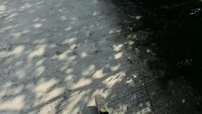 丹夫人母狗做任务